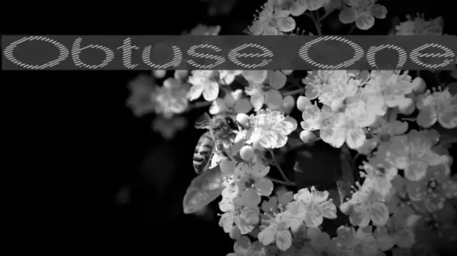 Obtuse One Font examples