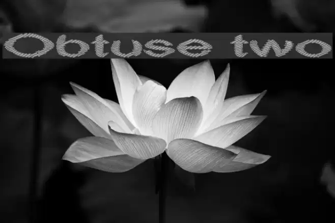 Obtuse two Font examples