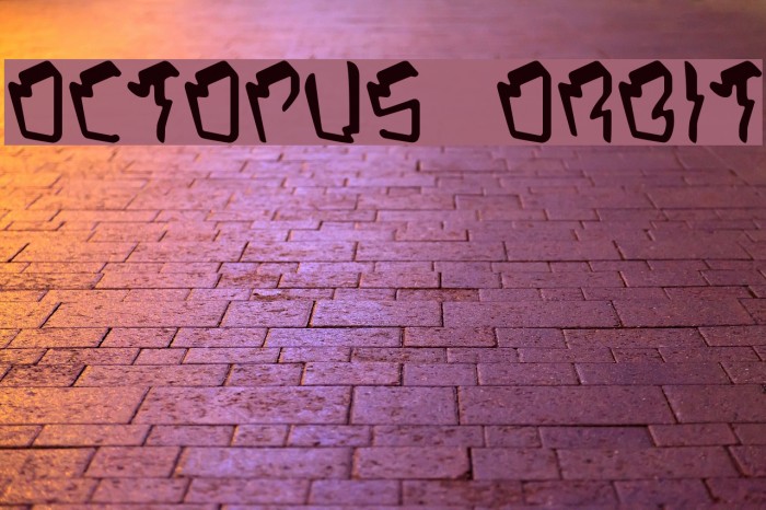OCTOPUS ORBIT Font examples