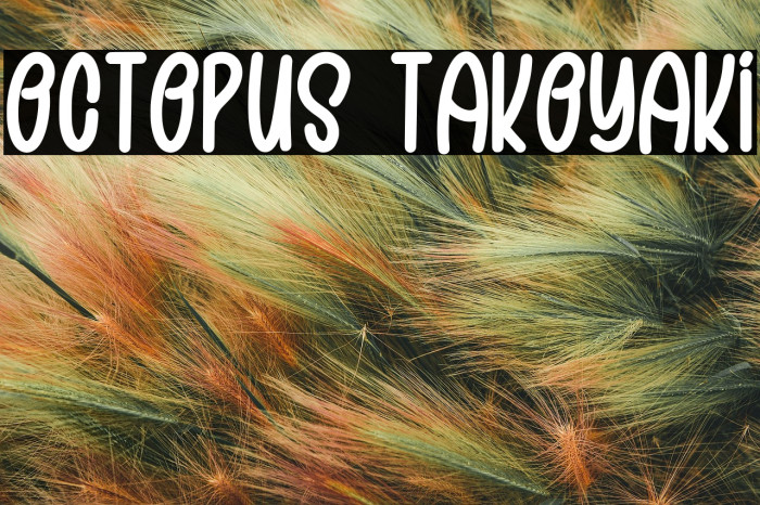 OCTOPUS TAKOYAKI Example 3