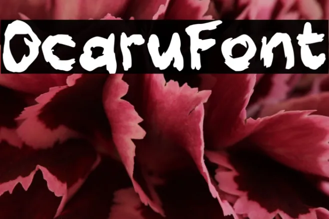 Ocaru Example 2