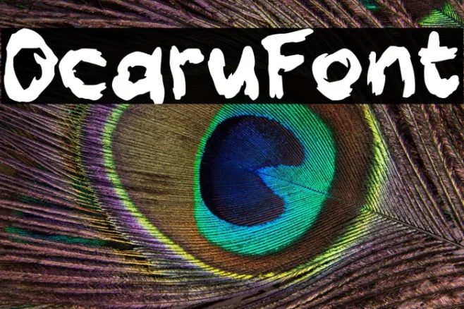 Ocaru Example 3