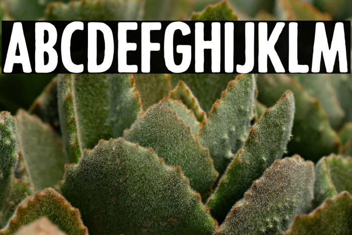 OccamsEraser Example 2