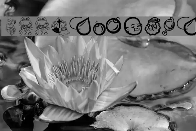Occasiones फ़ॉन्ट examples