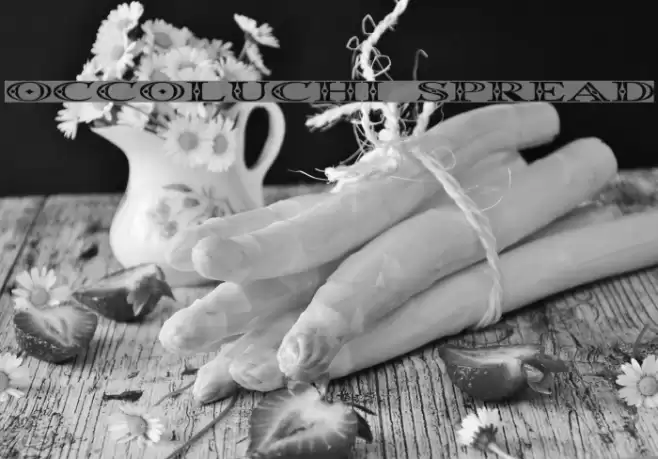 Occoluchi Spread Font examples