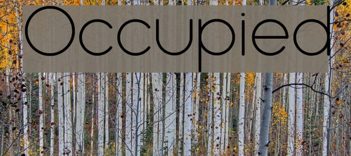 Occupied Font examples