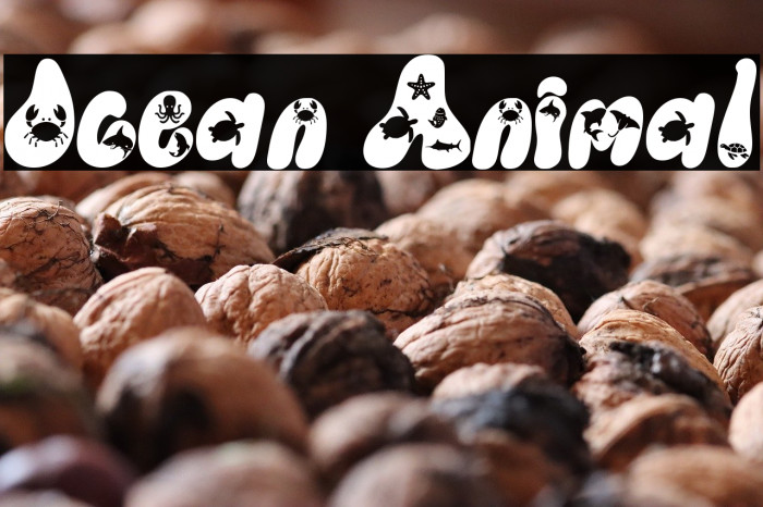 Ocean Animal Example 1