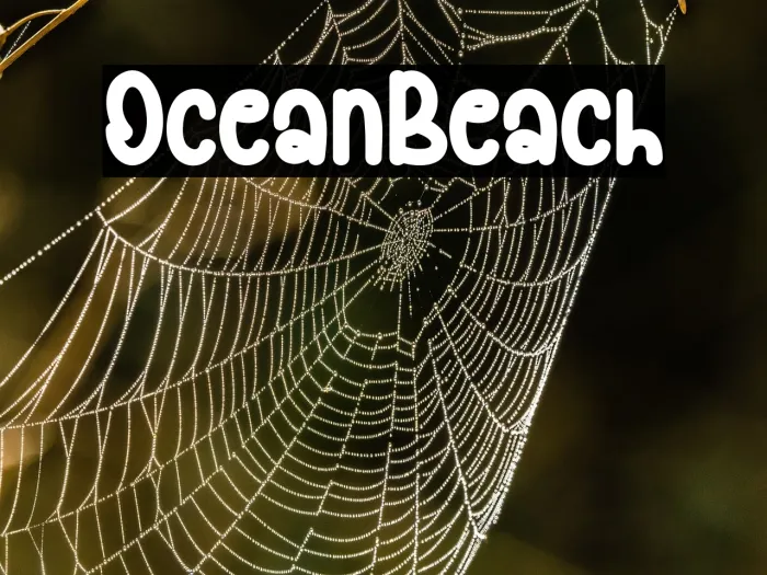 Ocean Beach Example 1