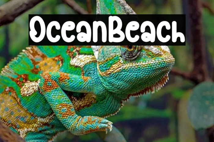 Ocean Beach Example 2
