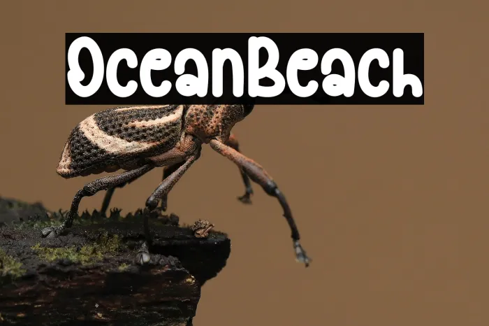 Ocean Beach Example 3