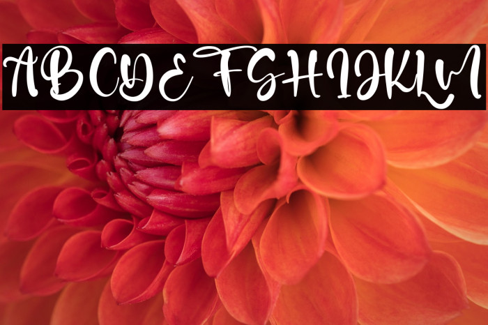 Ocean Castle Example 3