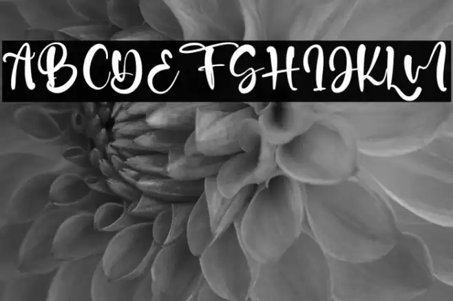 Ocean Castle Font examples