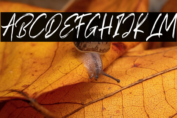 Ocean Dream Alternate Example 3