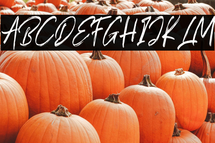 Ocean Dream Example 1