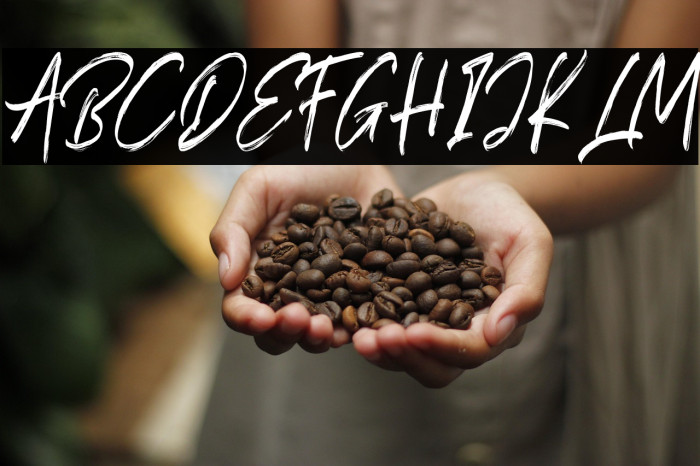 Ocean Dream Example 1