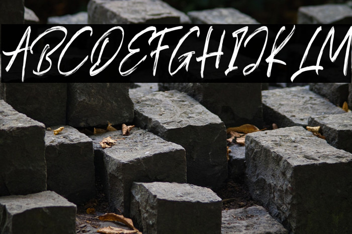 Ocean Dream Example 3