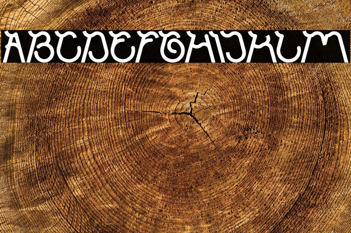 Ocean Free Bold Example 3