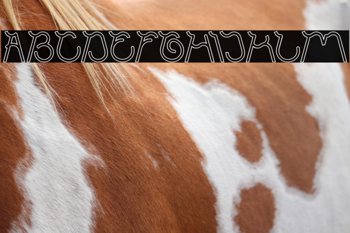 Ocean Free-Hollow Example 1