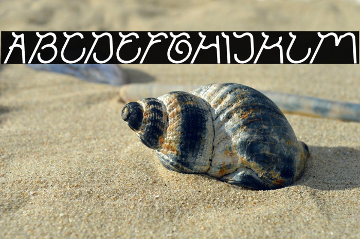 Ocean Free Italic Example 1