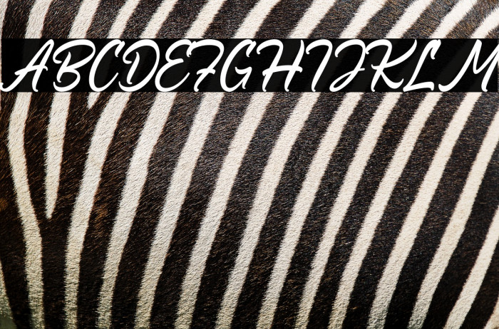 Ocean Road Example 1