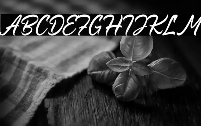 Ocean Road Font examples