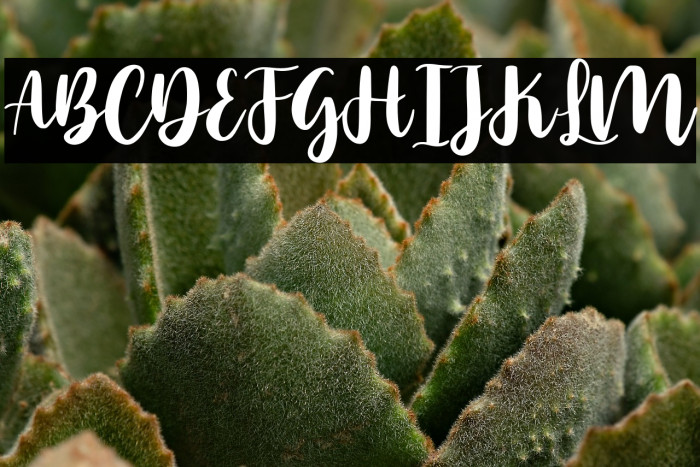 Ocean Sunshine Demo Version Example 2