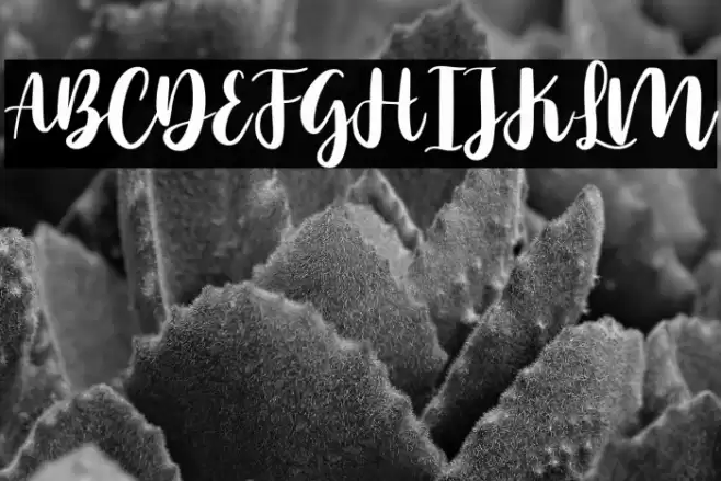 Ocean Sunshine Demo Version Font examples