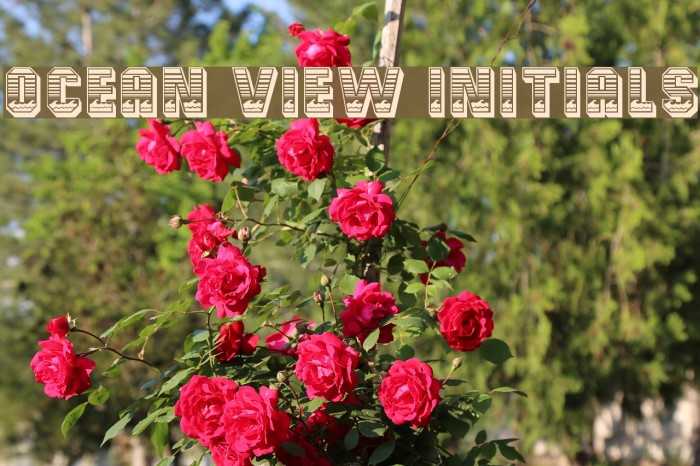 Ocean View Initials Font examples