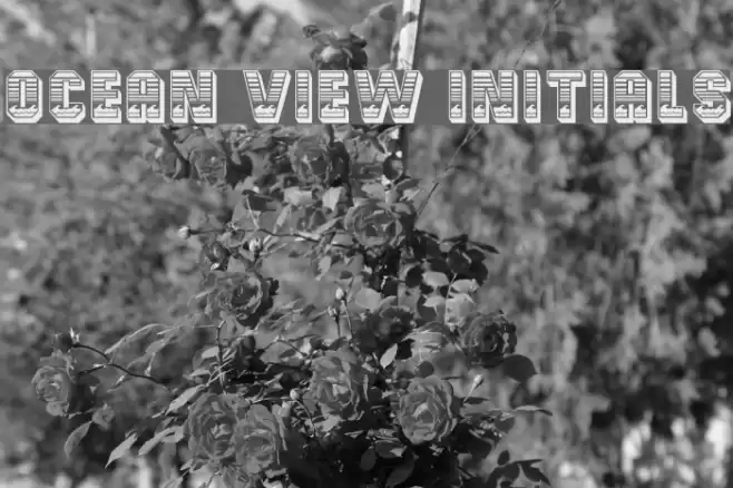 Ocean View Initials フォント examples