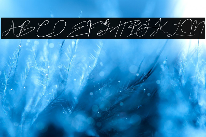 Ocean Vinley Demo Regular Example 1