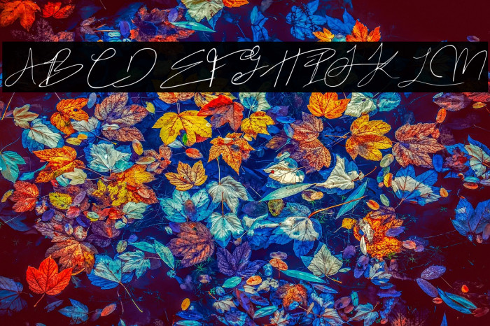 Ocean Vinley Demo Regular Example 2