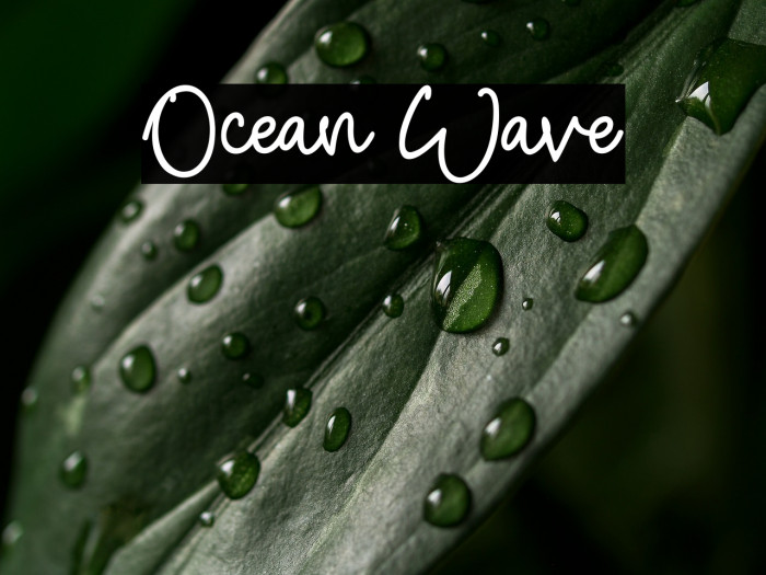 Ocean Wave Example 2