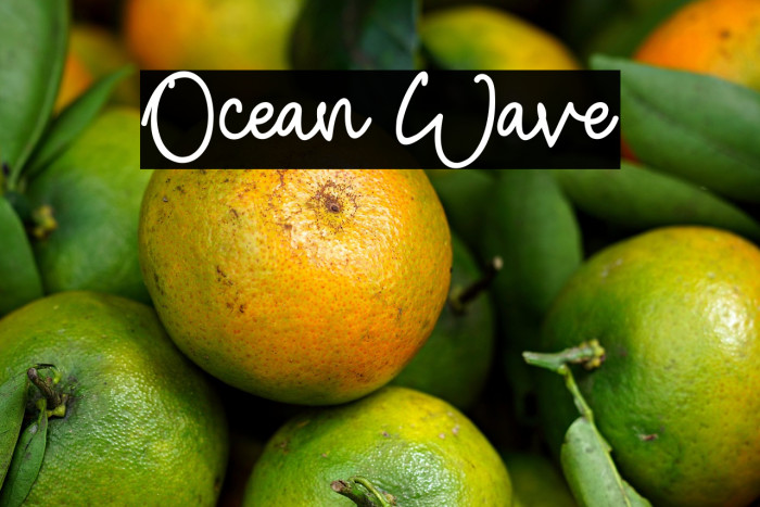 Ocean Wave Example 3