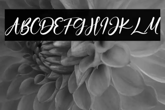 OceanAubrey Font examples