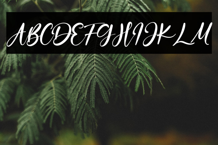 OceanAubrey Example 2