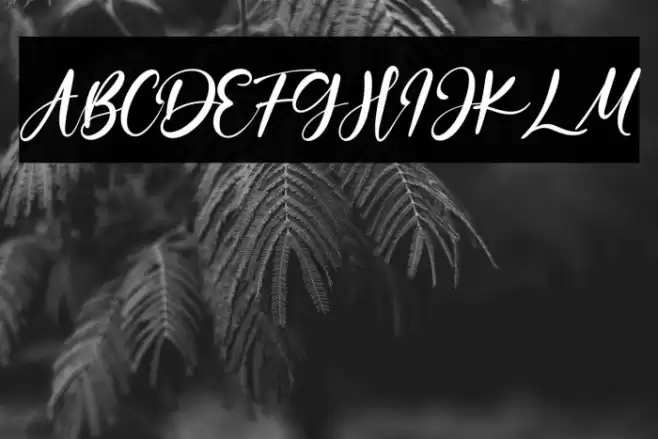 OceanAubrey Font examples