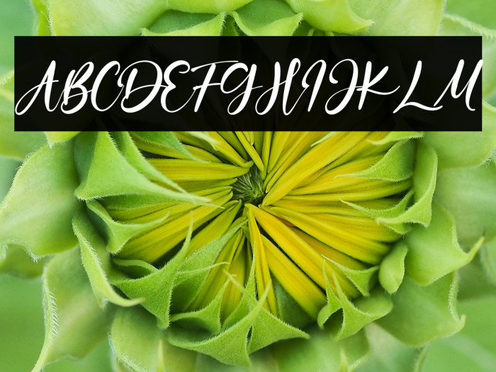 OceanAubrey Example 3