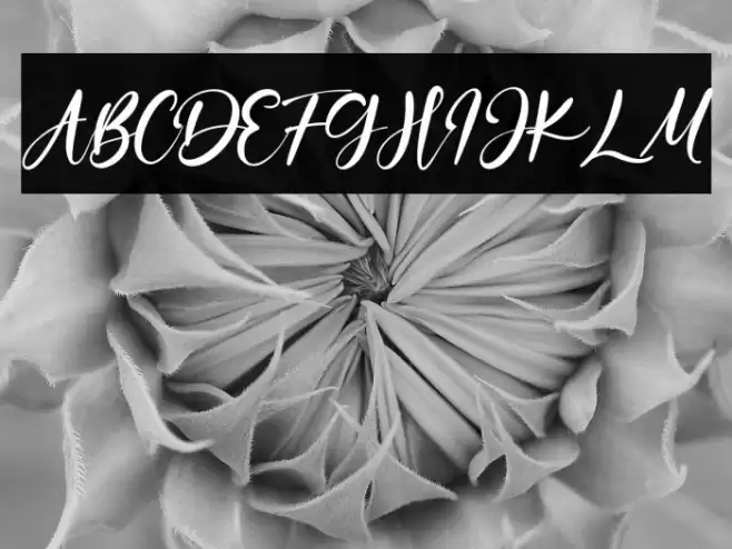 OceanAubrey Font examples