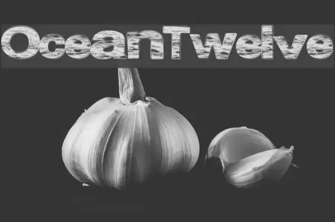 OceanTwelve Font examples