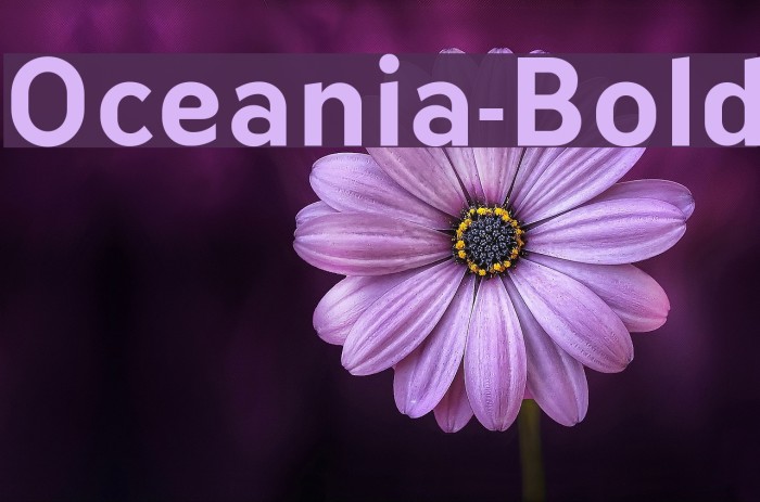 Oceania-Bold Example 3