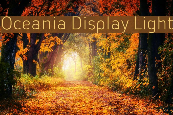 Oceania Display Light Example 1