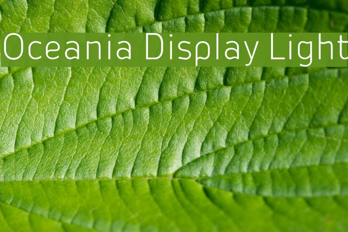 Oceania Display Light Example 3