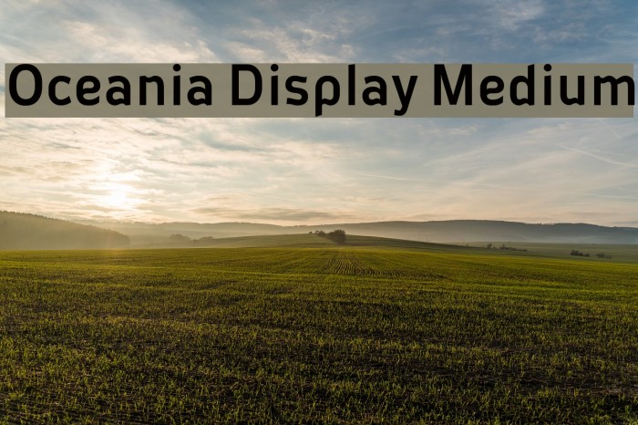 Oceania Display Medium Example 1