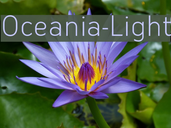Oceania-Light Example 1
