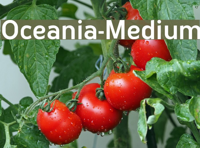 Oceania-Medium Example 1