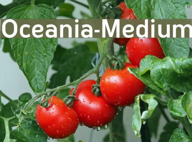 Oceania-Medium Example 1