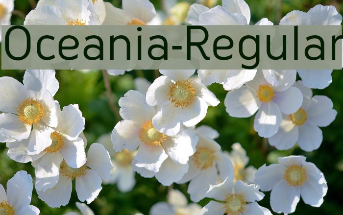 Oceania-Regular Example 1