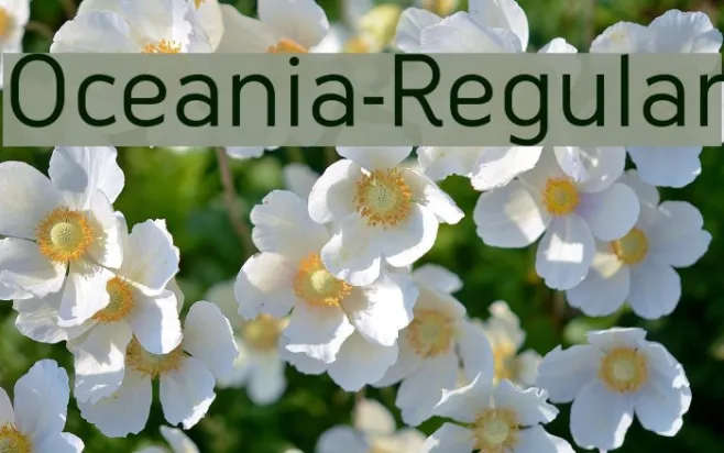 Oceania-Regular Example 1