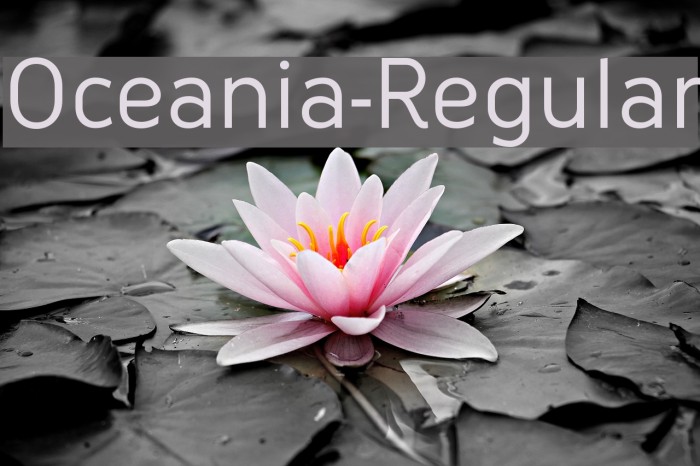 Oceania-Regular Example 3