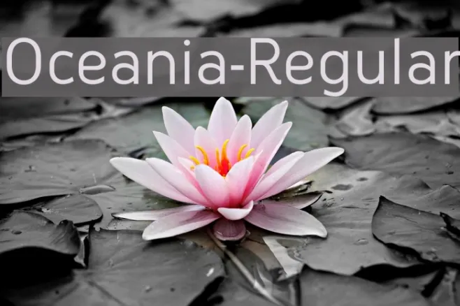 Oceania-Regular Example 3